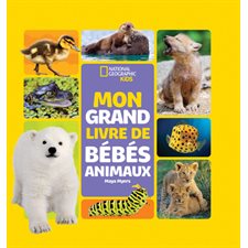 Mon grand livre de bébés animaux : National Geographic kids : Couverture rigide