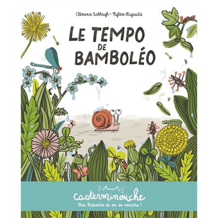 Le tempo de Bamboléo : Casterminouche : AVC