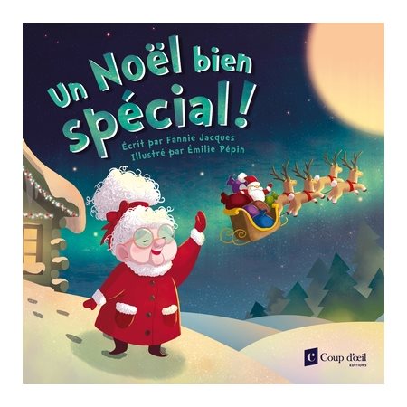 Un Noël bien spécial ! : Couverture souple