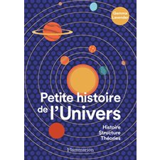 Petite histoire de l'Univers : Histoire, structure, théories