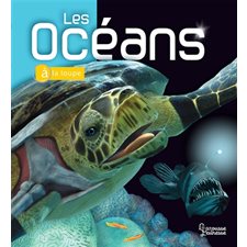 Les océans : A la loupe