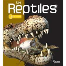 Les reptiles : A la loupe