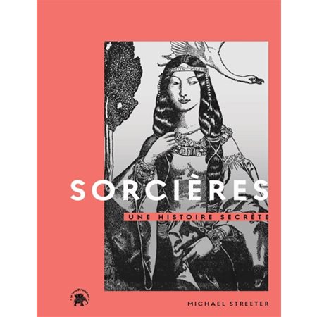 Sorcières, une histoire secrète