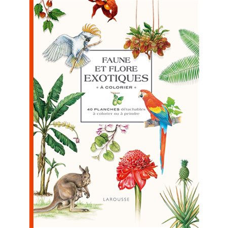 Faune et flore exotiques à colorier : 40 planches détachables à colorier ou à peindre