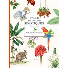 Faune et flore exotiques à colorier : 40 planches détachables à colorier ou à peindre