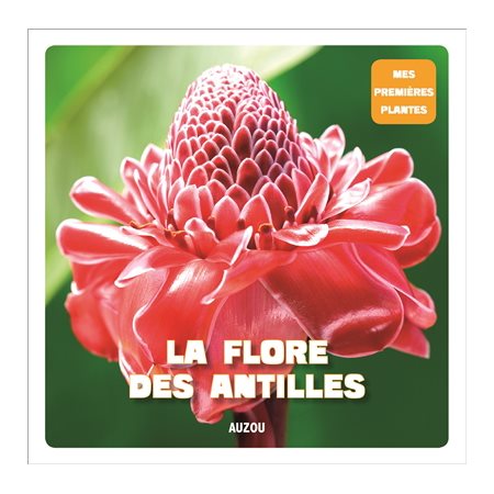 La flore des Antilles
