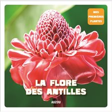 La flore des Antilles