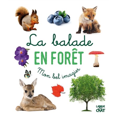 La balade en forêt