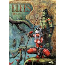 Elfes T.34 :La voie des Zul Kassaï : Bande dessinée