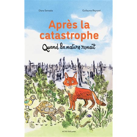 Après la catastrophe : quand la nature renaît