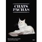 Chats pachas