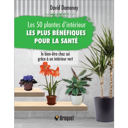 Les 50 plantes d'intérieur les plus bénéfiques pour la santé : Le bien-être chez soi grâce à un intérieur vert