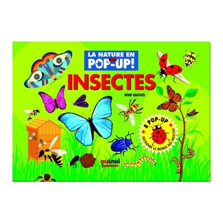 Insectes : La nature en pop-up !
