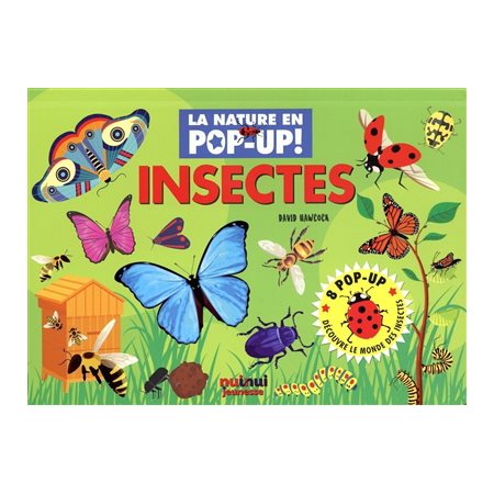 Insectes : La nature en pop-up !