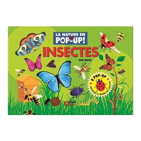Insectes : La nature en pop-up !