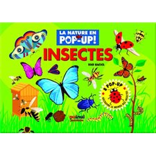 Insectes : La nature en pop-up !