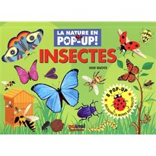 Insectes : La nature en pop-up !