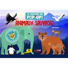 Animaux sauvages : La nature en pop-up !