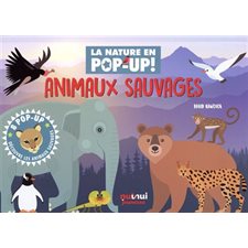 Animaux sauvages : La nature en pop-up !