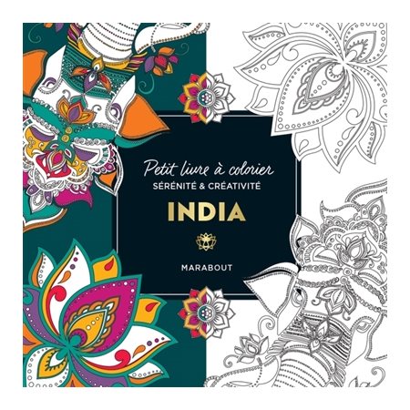 Petit livre à colorier : India
