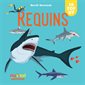 Requins : 10 pop-up : Saisissants pop-up
