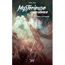 Mystérieuse coïncidence T.04 : L'oeuvre d'art maudite : 12-14