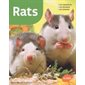 Rats : Les connaître, les nourrir, les soigner : Mini-maxi. Animaux