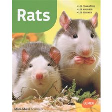 Rats : Les connaître, les nourrir, les soigner : Mini-maxi. Animaux