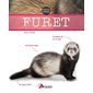 Furet : Focus Artémis