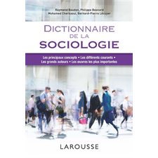 Dictionnaire de la sociologie