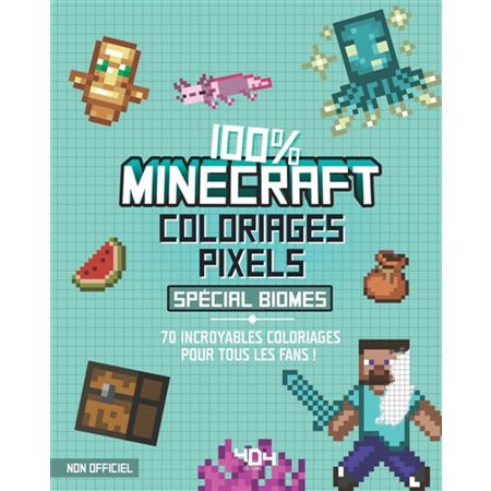 Coloriages pixel : 100 % Minecraft : Spécial biomes