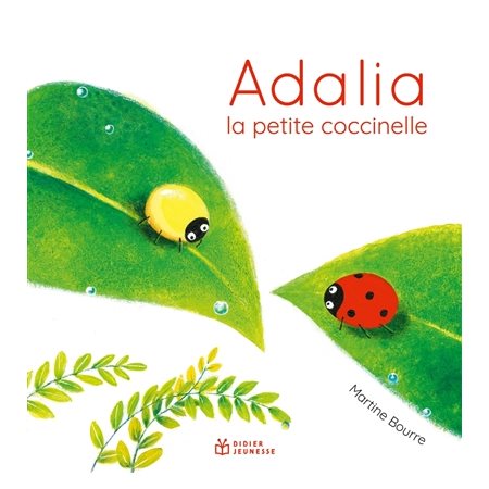 Adalia : la petite coccinelle