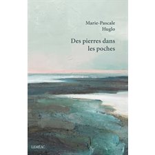 Des pierres dans les poches : NVL