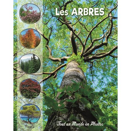 Les arbres : Tout un monde en photos : Nouvelle édition