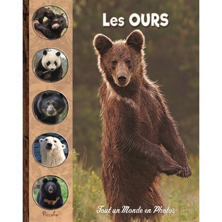 Les ours : Tout un monde en photos : Nouvelle édition