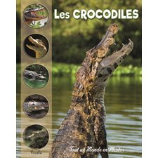 Les crocodiles et autres crocodiliens : Tout un monde en photos : Nouvelle édition