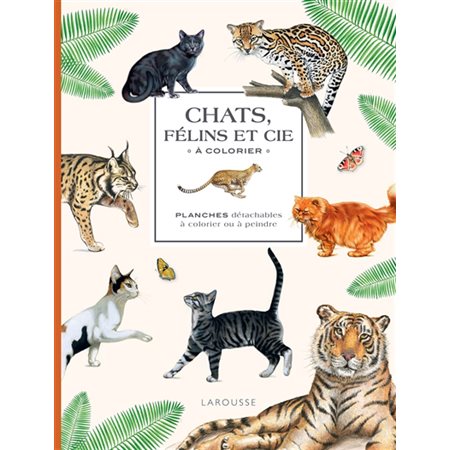 Chats, félins et cie à colorier : Planches détachables à colorier ou à peindre