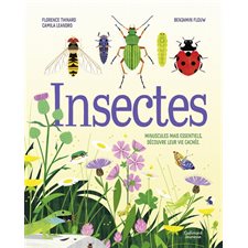 Insectes : Minuscules mais essentiels, découvre leur vie cachée