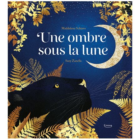 Une ombre sous la Lune