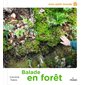 Balade en forêt