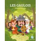 Les Gaulois : L'histoire de nos ancêtres : Quele histoire : Histoire jeunesse