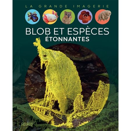 Blob et espèces étonnantes : La grande imagerie