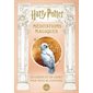 Harry Potter : Méditations magiques : 64 cartes inspirantes et leur livret, dans l'univers des films
