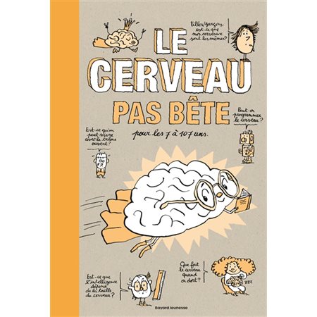 Le cerveau pas bête : Pour les 7 à 107 ans