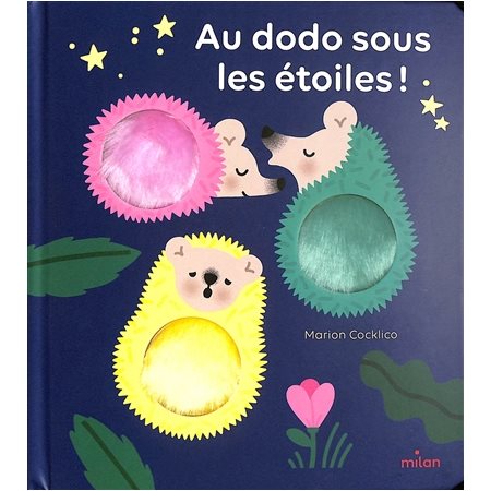 Au dodo sous les étoiles !