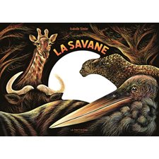 La savane : une nuit...