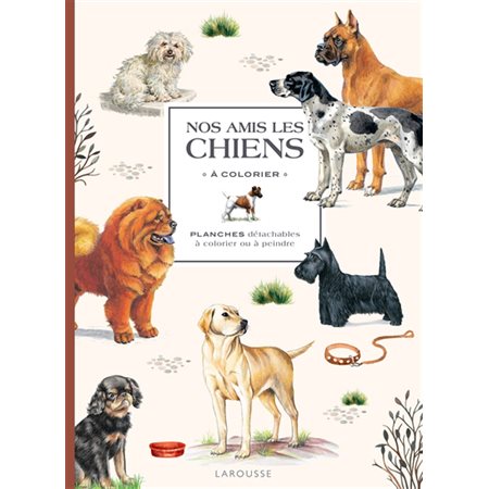 Nos amis les chiens à colorier : planches détachables à colorier ou à peindre