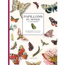 Papillons du monde à colorier : planches détachables à colorier ou à peindre