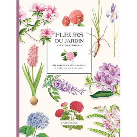 Fleurs du jardin à colorier : planches détachables à colorier ou à peindre