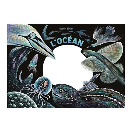 L'océan : une nuit...